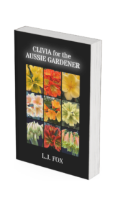 Clivia for the Aussie Gardener
